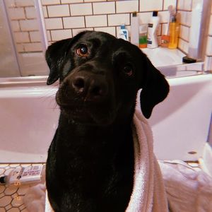 Meet your Posher, Jess